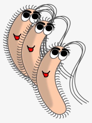 Small - Funny Bacteria Clipart #446302