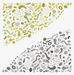 Bacteria And Virusses Vector - Bacteria #446351