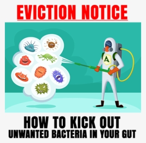 How To Kick Out Unwanted Bacteria In Your Gut - Small Intestinal Bacterial Overgrowth #446406