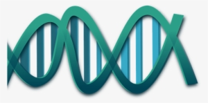 Promising Target In Fight Against Bacteria - Biochemistry Principles (speedy Study Guides) #446463