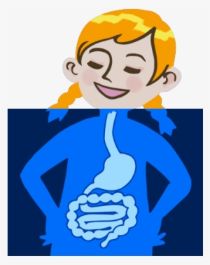A Tummy Tour #446681