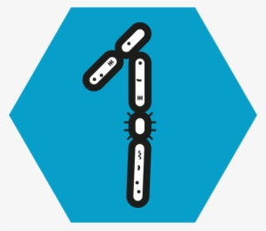 Friend Or Foe - Illustration #446707