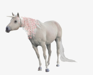 Pintado A Mano De Un Unicornio Png Transparente - Unicorn #447531