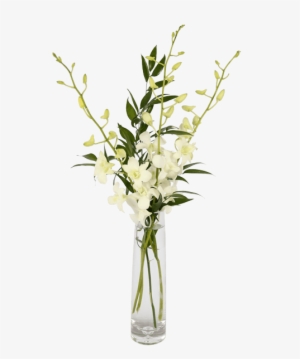 Elegant Orchids, White - Orchid Flower Bud Vase #447630