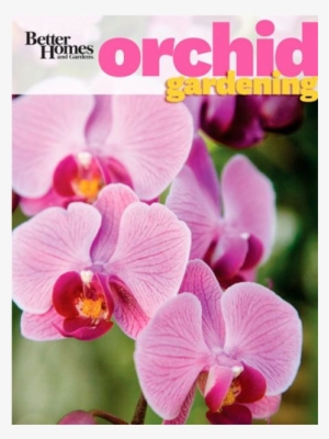 Bhg Orchid Book-500x500 - Better Homes & Gardens Orchid Gardening By Better #448831