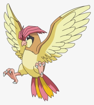 Pidgeotto - Pidgeotto Pokemon #449051