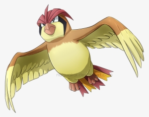 #17 Pidgeotto Art Challenge, Wonders Of The World, - Pidgeotto Png #449177