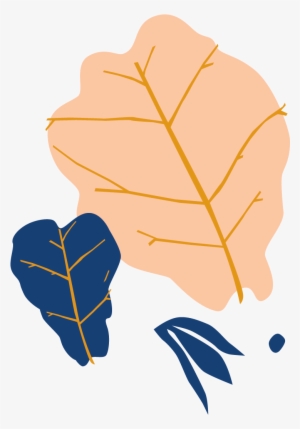 Bloomscape Fiddle Leaf Fig - Illustration #449240 Bloomscape Fiddle Leaf Fig - Illustration #449240