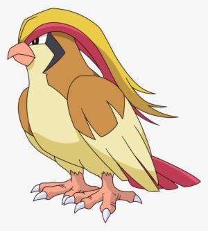 Pidgeot Is A Huge Bird, You An Fly On Her - Pidgeot Png #449297