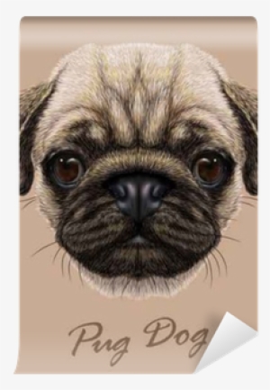 Vector Illustrative Portrait Of Pug Dog - Dog Face Transparent Background #449707