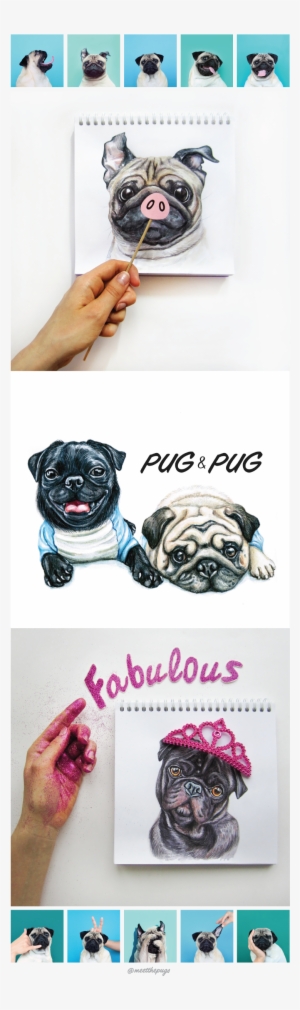 Pug-pig On Behance - Pug #449755
