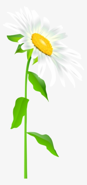 Vector Graphics #449936