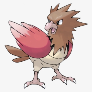 Pidgey, What Kind Of Casual Are You Spearow Is The - Pokemon Spearow #449964