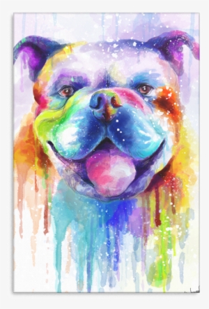 Bulldog Canvas Wrap 2402ph - Olde English Bulldogge #449992