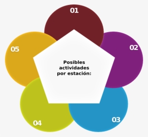 Circulo - Circle #4400065