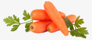Carrot Ansika Trading Pvt #4400687