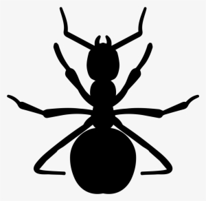 Ant Vector - Ant Clipart - Free Transparent PNG Download - PNGkey