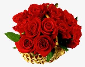 72a - Rosa Vermelha Pra Vc #4401942