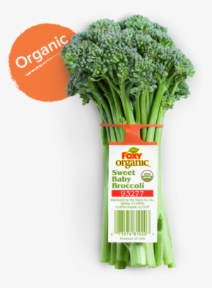 Sweet Baby Broccoli - Foxy Organic #4402865