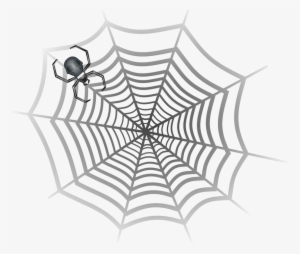 Drawn Spider Web Illustration Png - Karakalem Örümcek Ağı Çizimi #4402894
