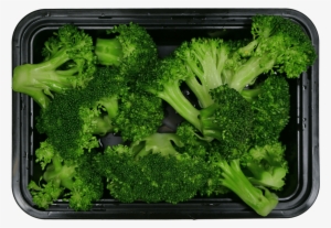 Broccoli #4403101