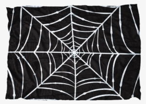 Spider Web #4403146