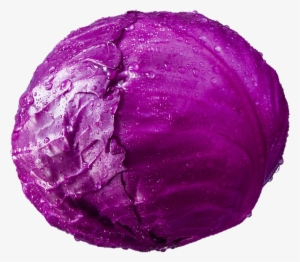 A Fresh Purple Broccoli - Cabbage #4403226