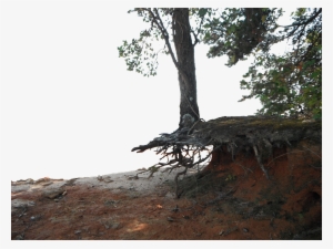 Hanging On Png Cliff Background Stock 1057 By Annamae22 - Portable Network Graphics #4403346