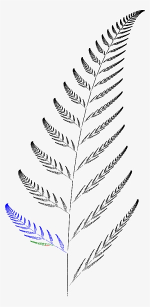 Barnsley Fern Funktion3 - Vertebral Column #4404102