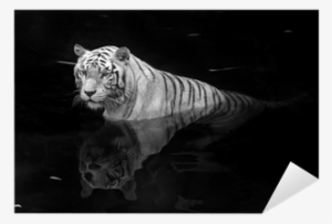 White Painting On Dark Background #4404386