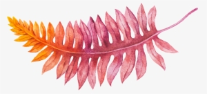 Hand Drawn Gradient Fern Vector - Vascular Plant #4404419