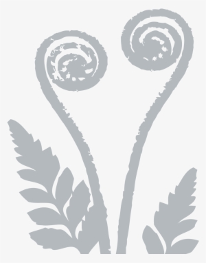 Fern-frond - Silver Fern #4404462