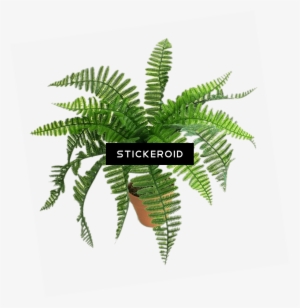 Artificial Fern - Ostrich Fern #4404479