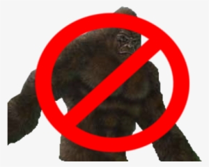 I'm Not Talking About People Who Are Skeptical Or Those - Portable Network Graphics #4404745