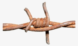Barbed Wire Rusted Knot - Barbed Wire Png Trasparent #4405058