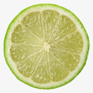 Lime Slice - Lime #4405516