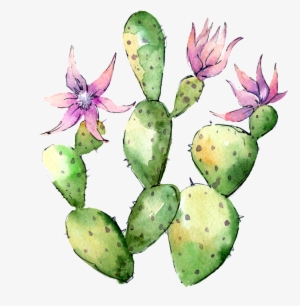 Hand Painted Flowering Cactus Png Transparent - Wild Flower Cactus #4405889