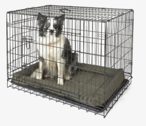 Cage Png Free Download - Cage Animal #4406410 Cage Png Free Download - Cage Animal #4406410