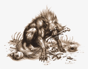 Wtf Spencer - Dog #4406850