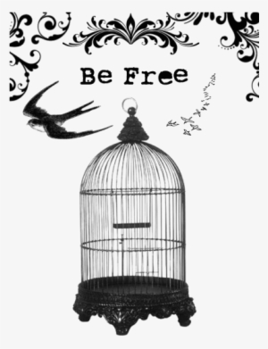 Cag - Png - Interior Gallery Hanging Decorative Bird Cage Antique #4406894