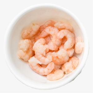 Southfin Shrimp - Cell #4406902