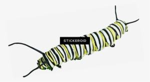 Caterpillar Clipart - Imagenes De Animales Que Se Arrastran #4407084