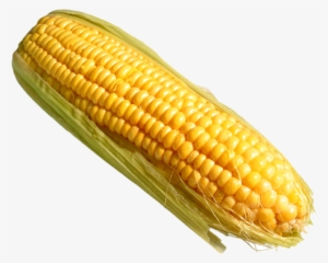 Corn Png Pic - Corn On The Cob Transparent #4407166