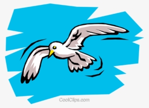 Seagull Royalty Free Vector Clip Art Illustration - Gabbiano Jonathan Livingston Scuola Primaria #4407171 Seagull Royalty Free Vector Clip Art Illustration - Gabbiano Jonathan Livingston Scuola Primaria #4407171