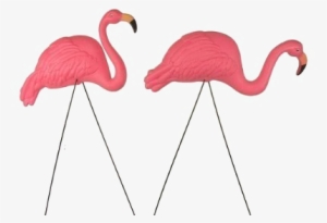 Flamingo Png Transparent Image - Bright Pink Flamingo Yard Ornament #4407266