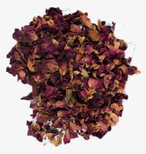 8/5 - Loose Leaf #4407736