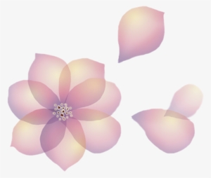 Flowers Petals Transparent Floating Aesthetic - Petal #4407886