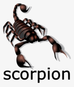 Scorpion Png Image - Scorpion Png #4409337