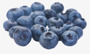 Fruits Available In Summer #4409456