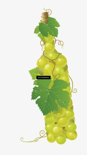 Grape - Grapes Vector #4410446